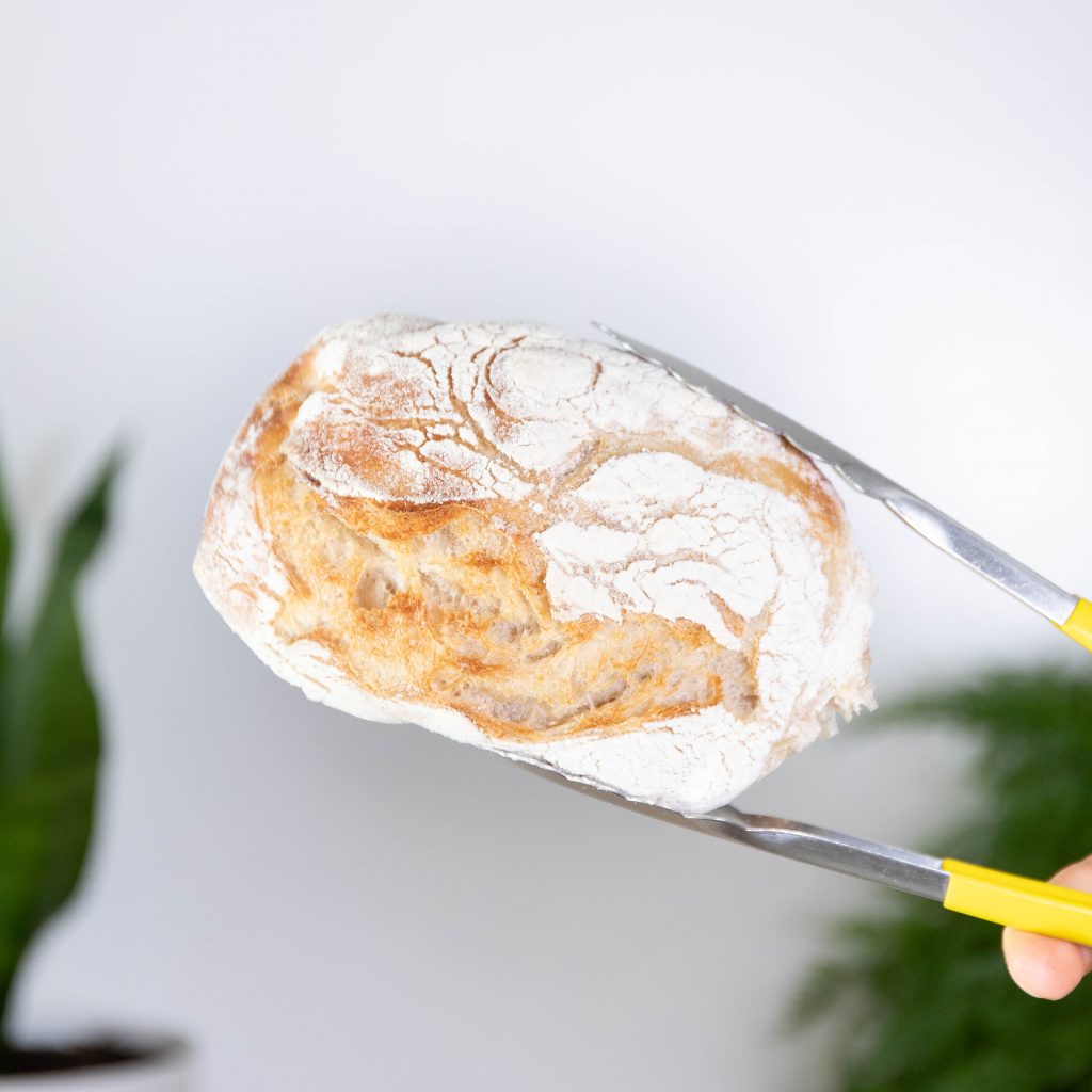 Ciabatta roll Bellbird Bakery