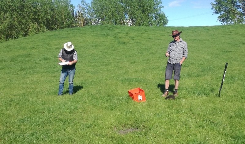 Dr Hugh Jellie from Āta Regenerative monitoring a field of grass on a New Zealand farm with another man