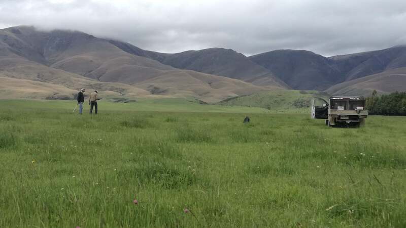 Dr Hugh Jellie and David Crutchley walking in a green field on Kyeburn Station, Danseys Pass, Central Otago, New Zealand, with hills behind them and cloudy skies
