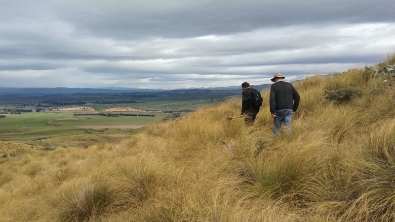 Dr Hugh Jellie and David Crutchley walking through long grass on Kyeburn Station, Danseys Pass, Central Otago, New Zealand, under a cloudy sky
