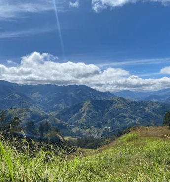 Coffee growing hills in Papua New Guinea