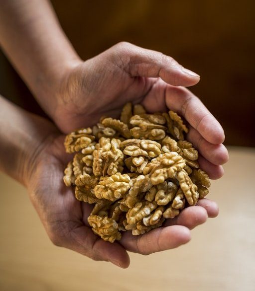 Walnut kernels held in two hands Trickett's Grove