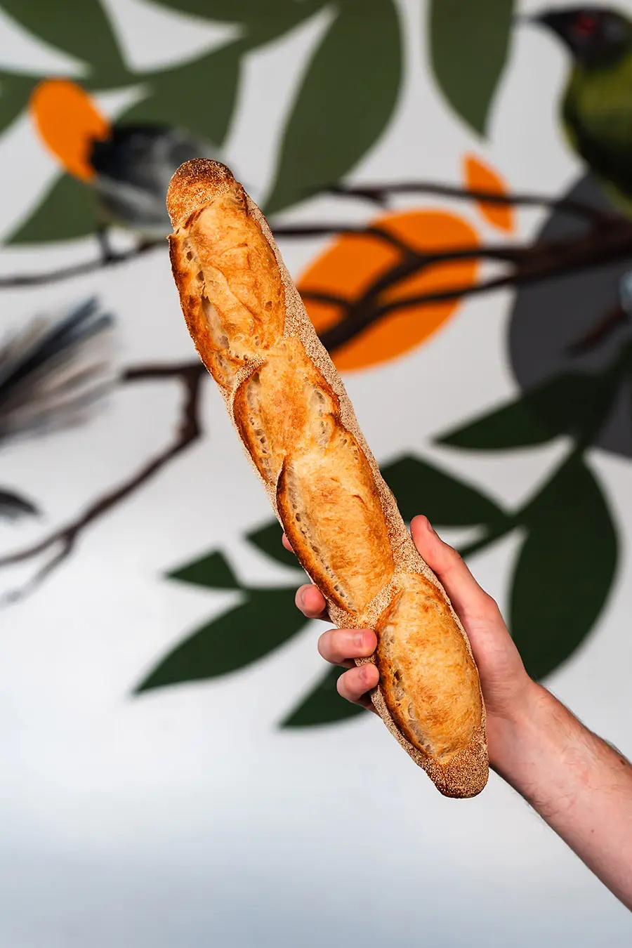 Bellbird Bakery Baguette Held in Hand in front of mural wall