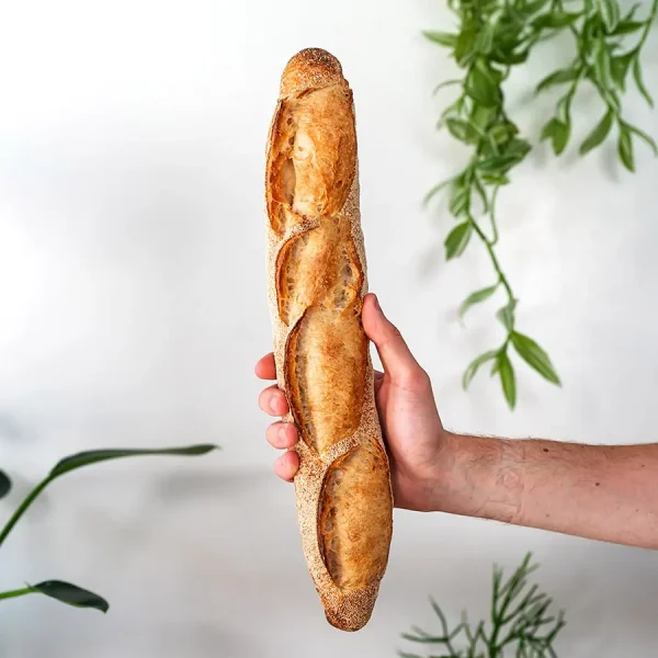 Bellbird Bakery Baguette Held in Hand in front of wall