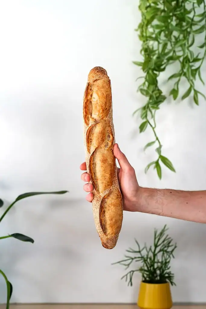 Bellbird Bakery Baguette Held in Hand in front of wall