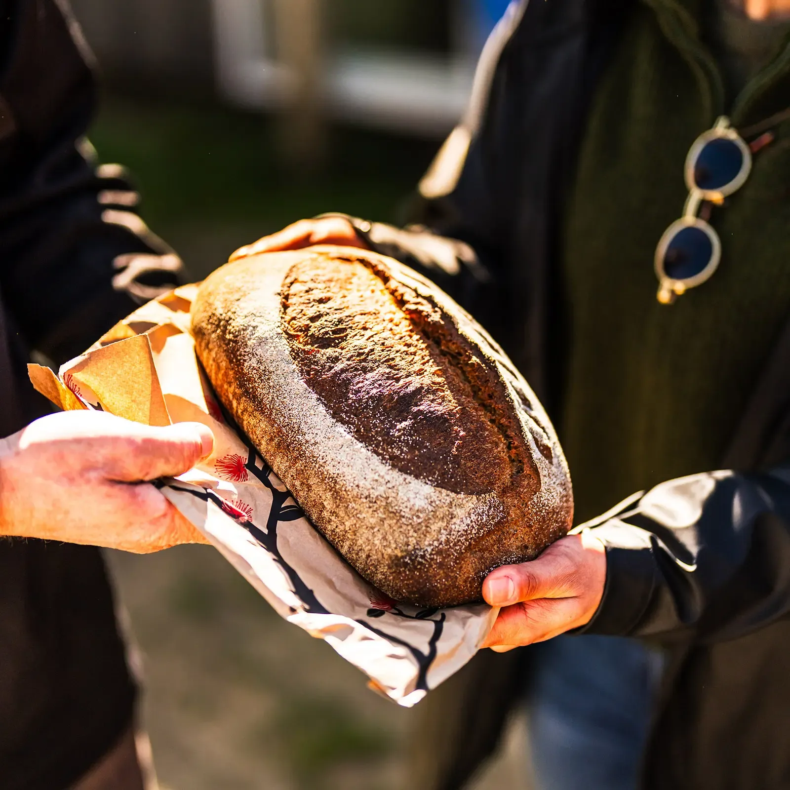 Organic Wholewheat Sourdough Held in Hands